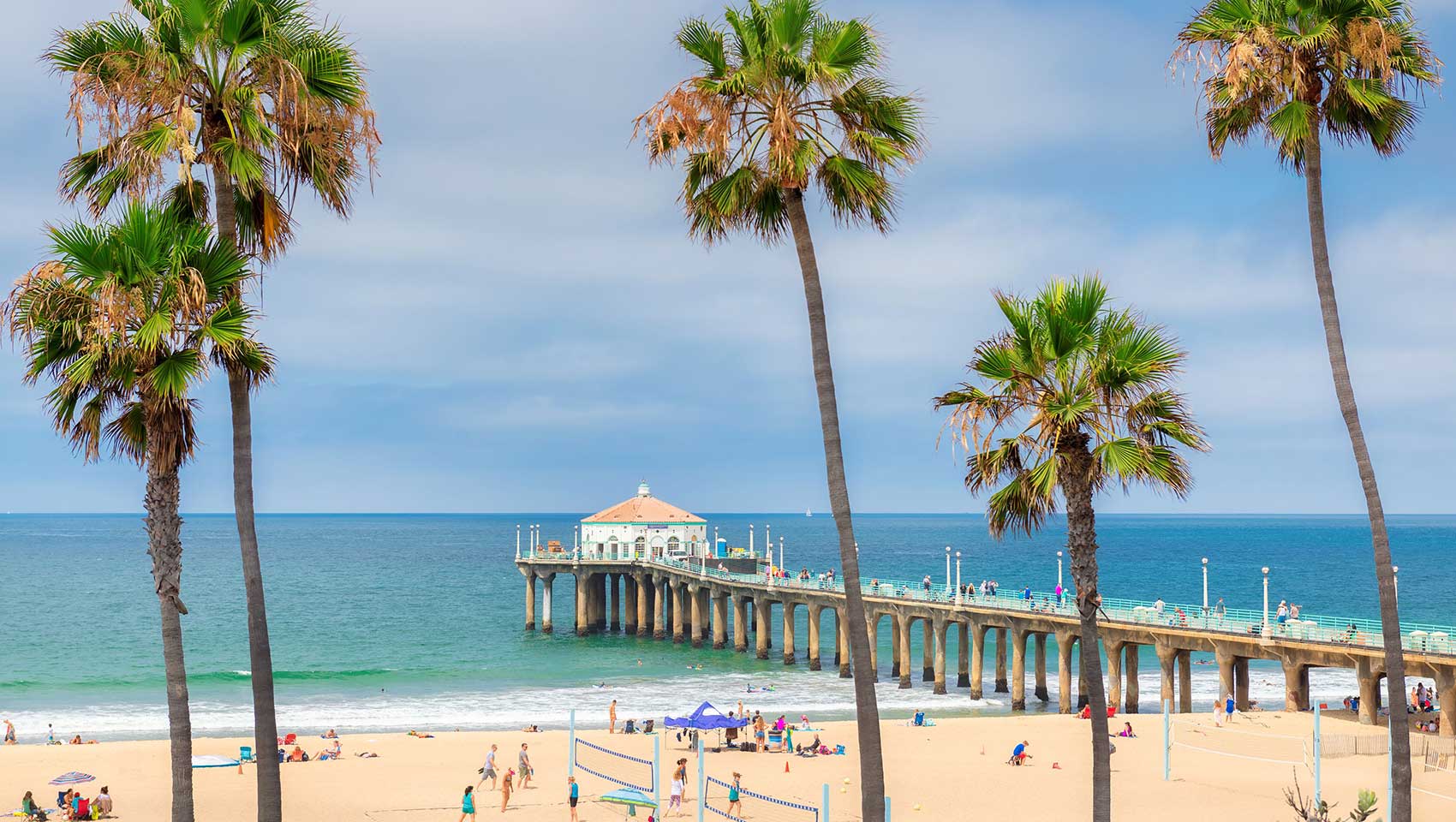 Sandy beach with palm trees at Manhattan Beach pier