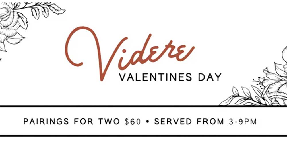 Videre Valentines Web Tile